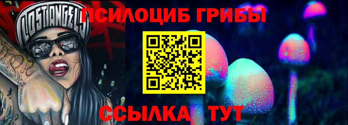 Псилоцибиновые грибы MAGIC MUSHROOMS  Вход с VPN  Лыткарино 